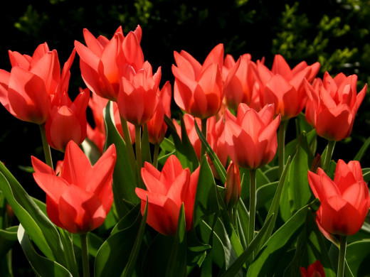 623636 (a): :1600x1200
